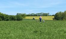 Spaziergang