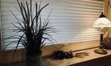 Ferienwohnung Südel
