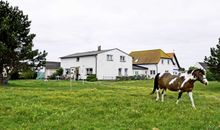 Ferien auf Hiddensee / Neuendorf