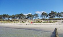 Ferien auf Hiddensee / Neuendorf