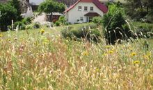 Zicker Berg - Blick auf unser Haus