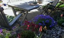 Frühling auf der Terrasse