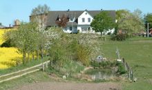 Rapsblüte Hauskoppel