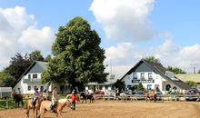 Buhnen am Strand vor Karlsminde