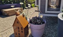 Haus Albertsdorf am Dorfteich | Wohnung 2 West