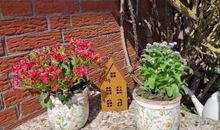 Haus Albertsdorf am Dorfteich | Wohnung 2 West