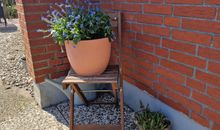 Haus Albertsdorf am Dorfteich | Wohnung 2 West