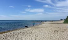 Ocean 2