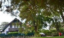 Ferienhaus "Strandflieder" in Groß Zicker/Halbinsel Mönchgut