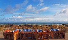 Beach Hotel California