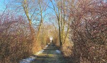 Gasthof Holtz
