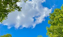 Fewo Horst 3_ blau.