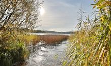 Landschaft