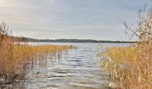 Landschaft