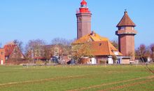 Seeschwalbe