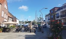AHOI Ecki